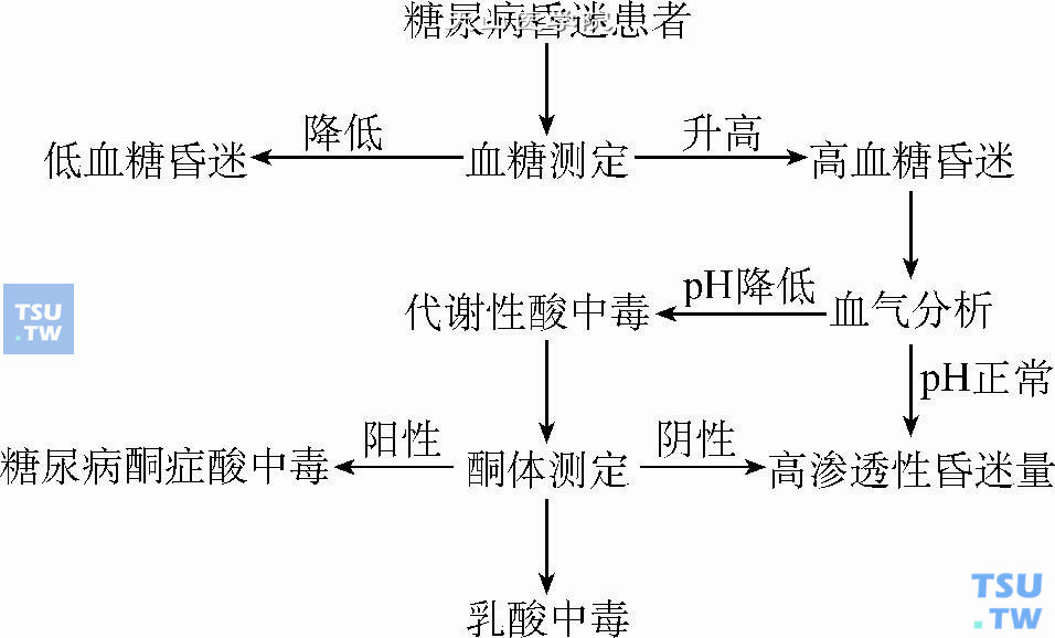 糖尿病高血糖昏迷，酮症酸中毒、乳酸中毒