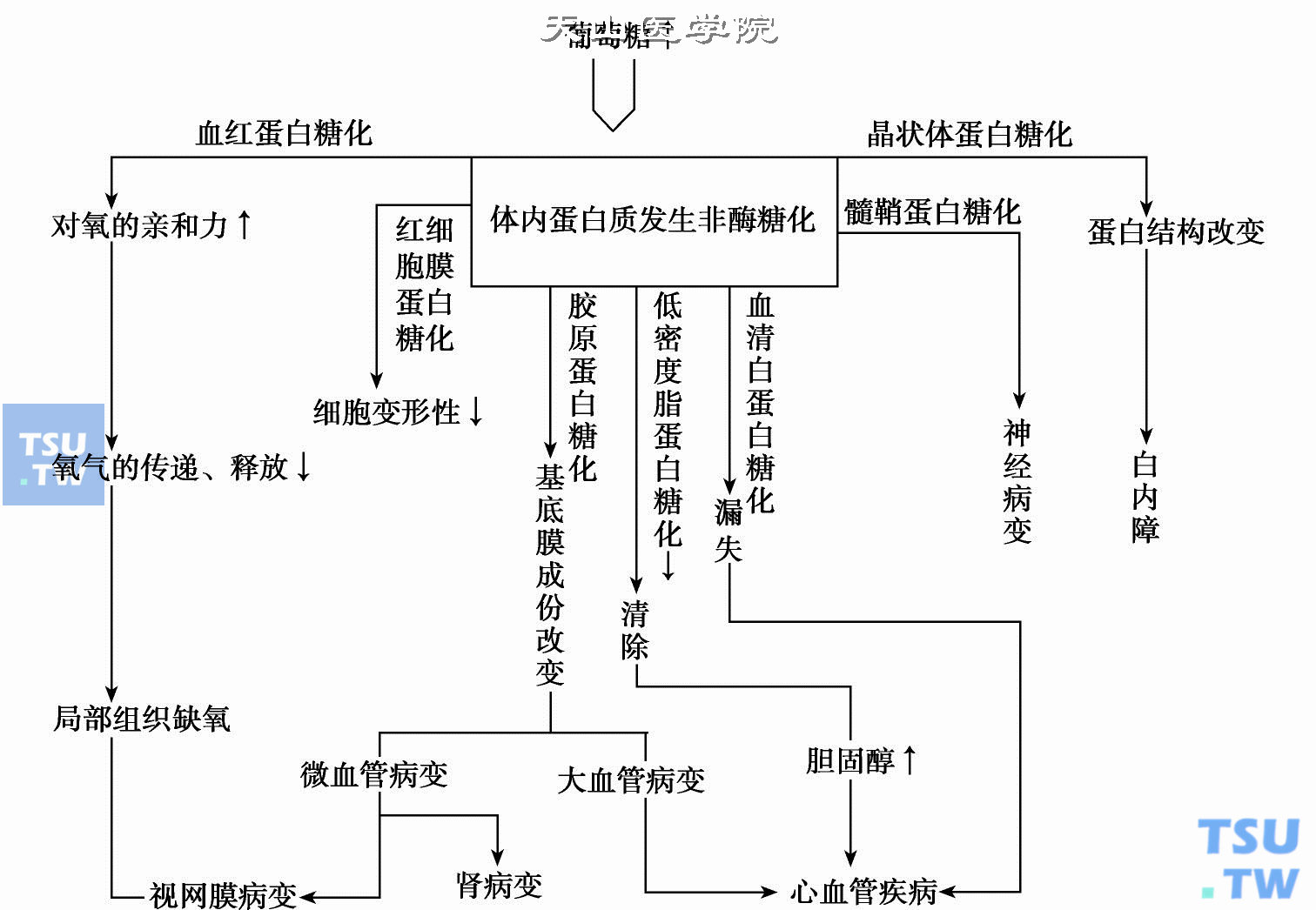 检测糖化血红蛋白（HbA1c）的临床意义