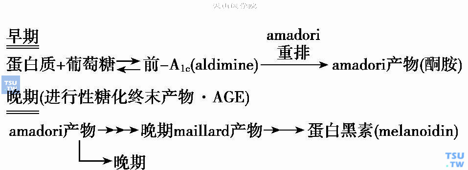 Maillard反应