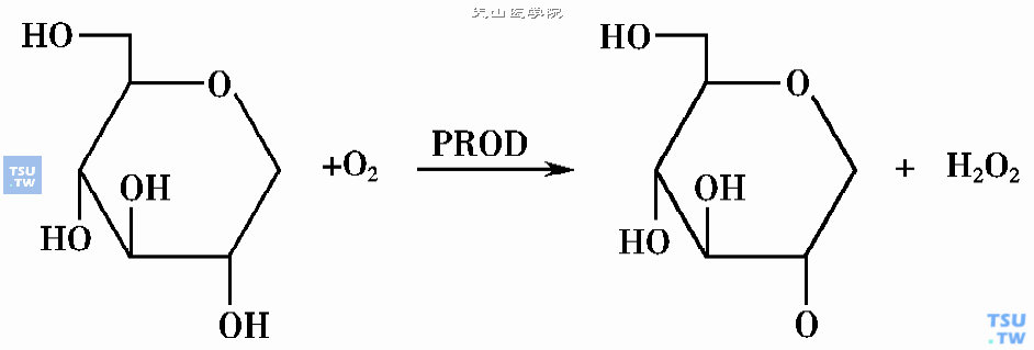 血清1，5-AG的测定方法