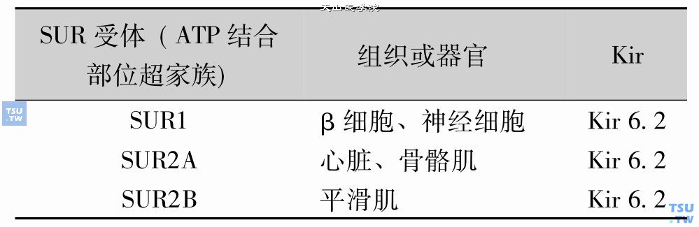 不同组织器官ATP敏感的钾通道的分布