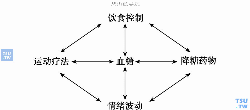  情绪、饮食、运动和降糖药物对血糖的影响