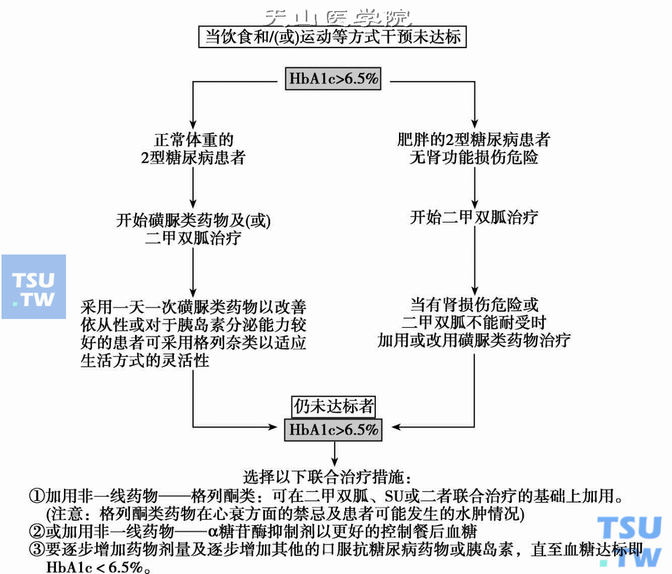  IDF制订的2型糖尿病药物治疗指南