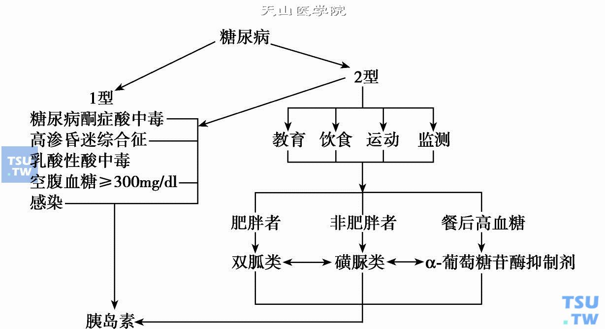  糖尿病的治疗方法总结图