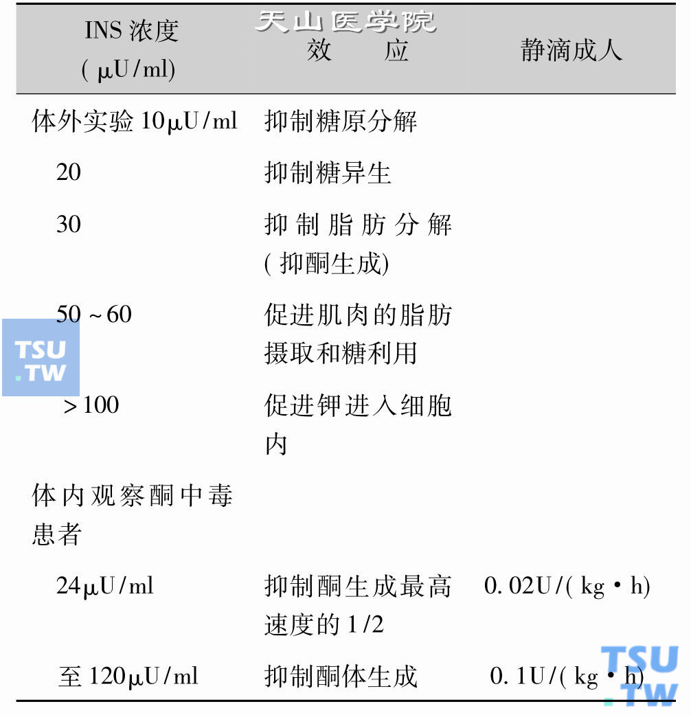 外周静脉胰岛素浓度、效应、治疗方法