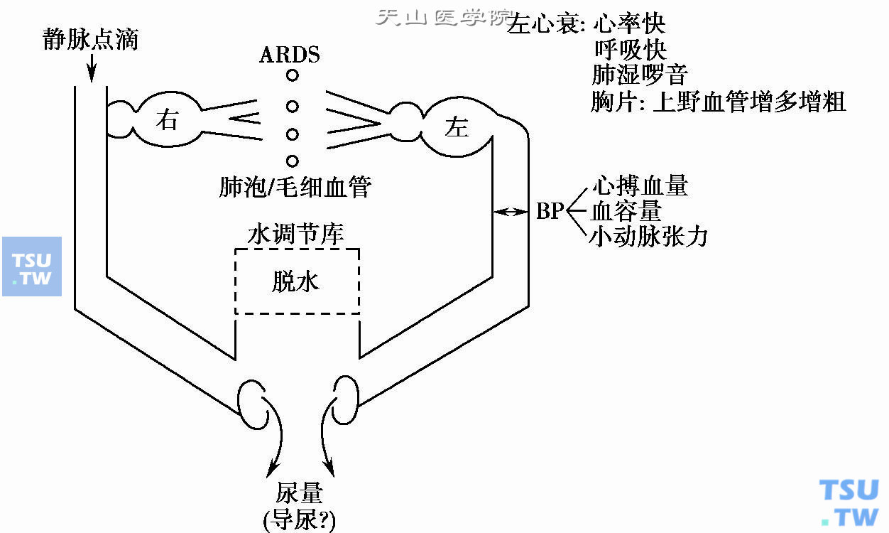 补入液体的三大去向（血容量、水调节库和尿量）