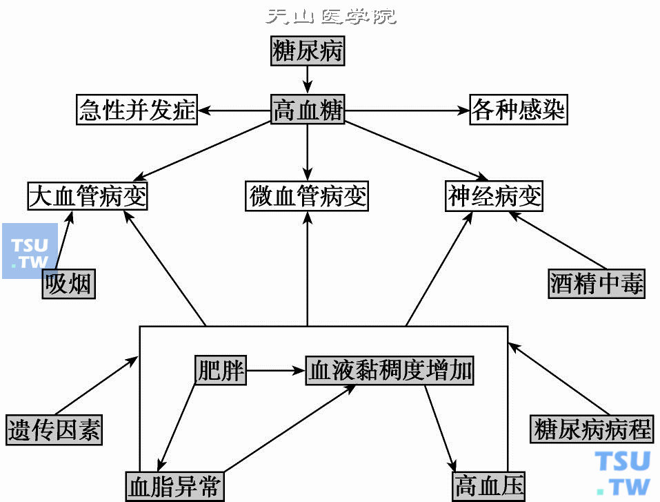  糖尿病慢性并发症和合并症的诱发因素