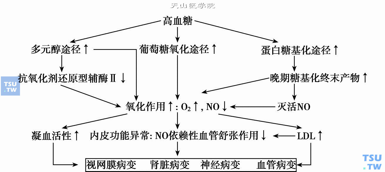 控制高血糖减少或避免糖尿病慢性并发症