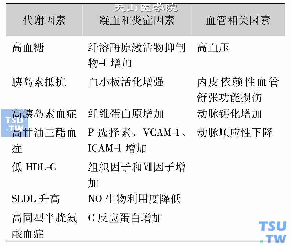 糖尿病和胰岛素抵抗相关的心血管危险因素