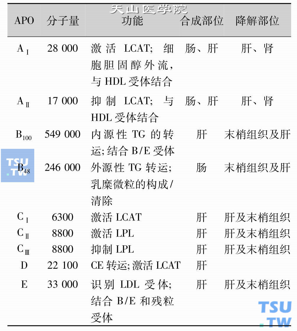 血浆载脂蛋白的主要生理功能