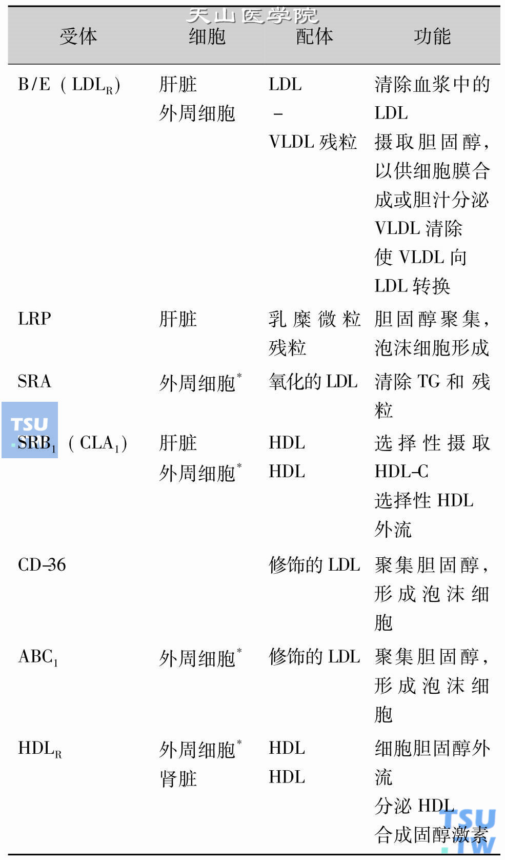 参与脂蛋白代谢的细胞受体及其功能;注:B/E为ApoB/E受体;LDLR为LDL受体;LRP为LDL受体样蛋白;SRA为A型清道夫受体;SRB1为B1型清道夫受体;CLA1指人受体;CD-36为共轭二烯脂质过氧化氢;ABC1为ATP结合盒1;HDLR为HDL受体。 *脂蛋白颗粒示意图
