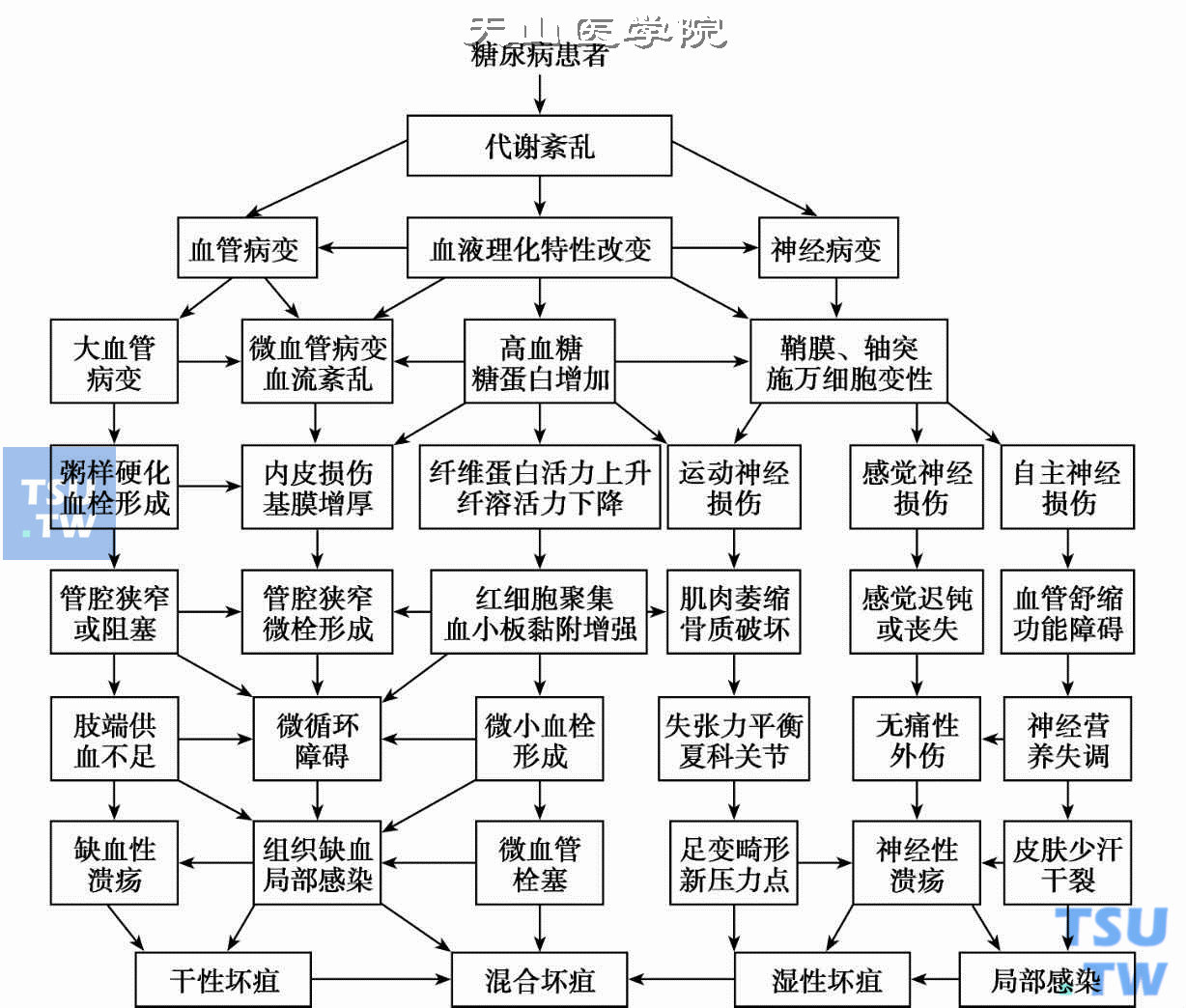 糖尿病足（肢端坏疽）发病机制