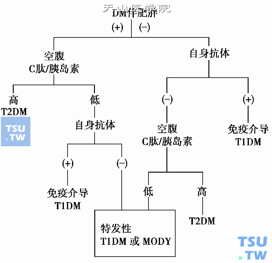  T2DM初步诊断步骤