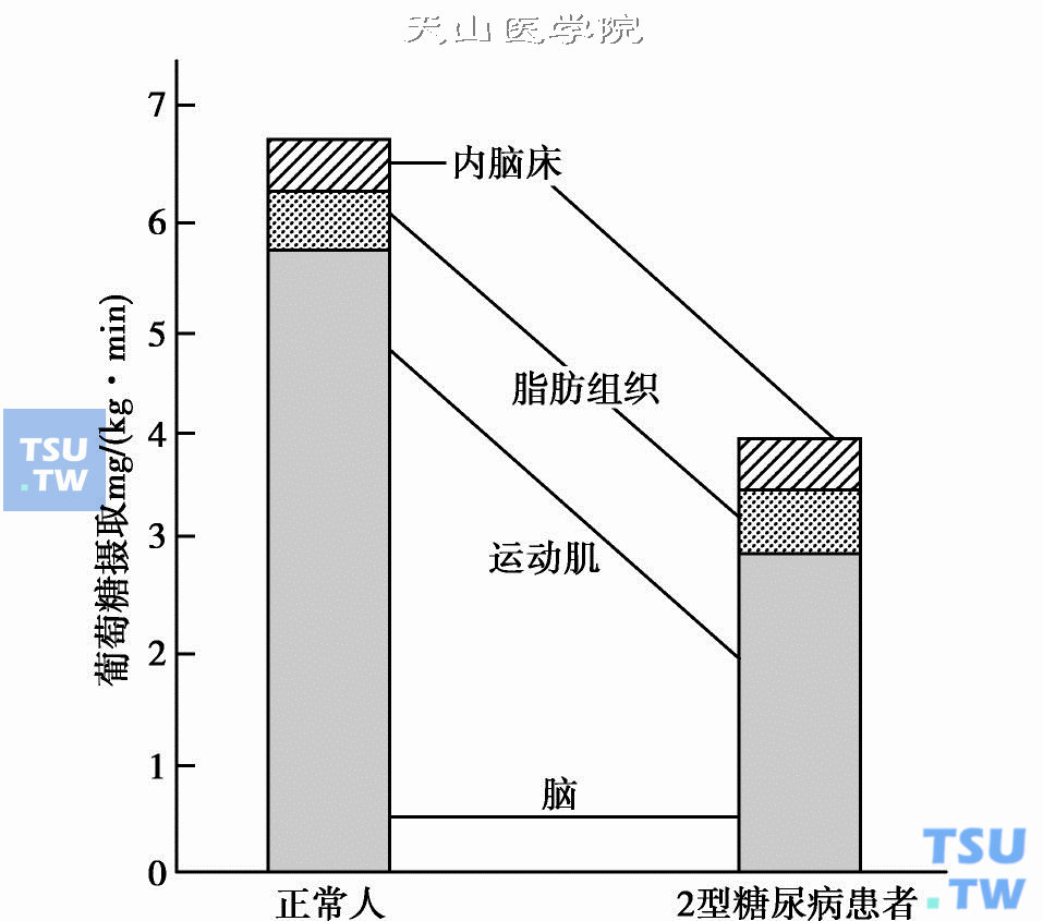  人体组织对葡萄糖的摄取（G. Williams及J. C. Pickup）