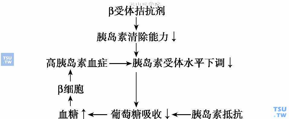  β受体拮抗剂对糖代谢的影响