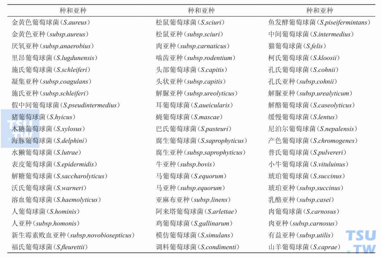 葡萄球菌属临床多见，现在分类葡萄球菌属包括哪些种和亚种？