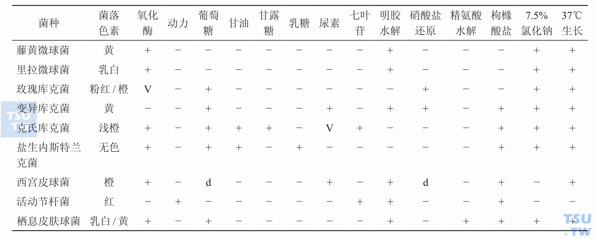 微球菌及相关菌鉴别