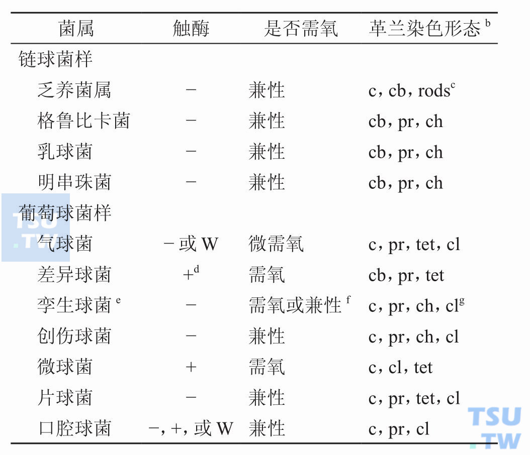 罕见的需氧革兰阳性球菌特征；注：+，阳性；−，阴性；w，弱；cb，球杆状；pr，成对；ch，链状；c，球状；tet，四联体；cl，呈簇