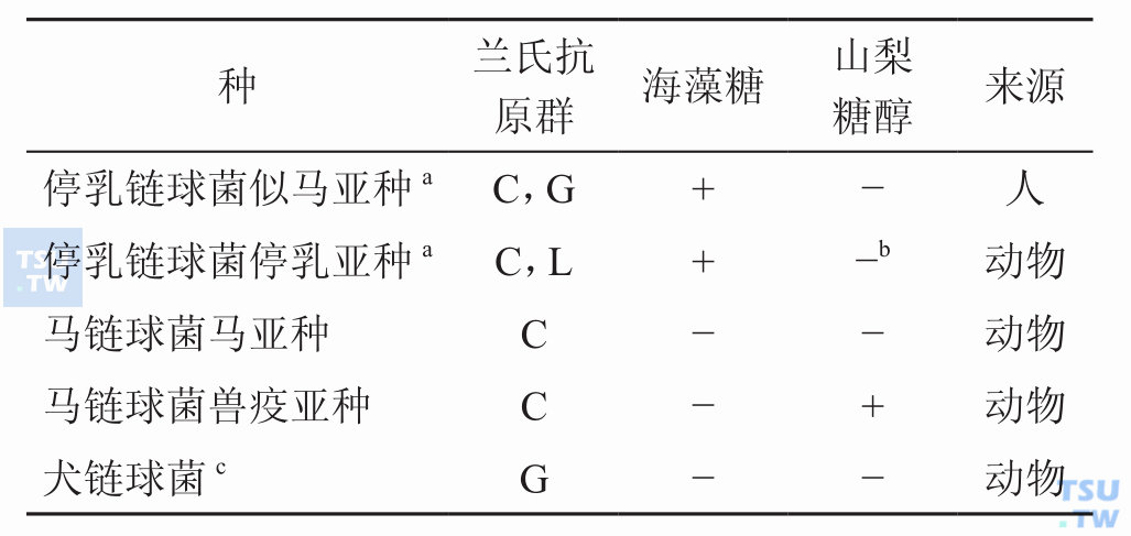 人源性和动物源性C群和G群大菌落β溶血性链球菌的鉴别特征；注：+，阳性；−，阴性。a停乳链球菌似马亚种，主要分离自人，对人的纤维蛋白具有溶解活性，并对人的血纤维蛋白溶酶原具有链激酶活性；停乳链球菌停乳亚种主要分离自动物，无上述两种活性，溶血性不定，可为α溶血或不溶血，也可能是β溶血，产生兰氏C或L抗原。b偶有阳性反应。c与其他C群或G群大菌落的β溶血性链球菌相比，多数犬链球菌βGUR为阴性。