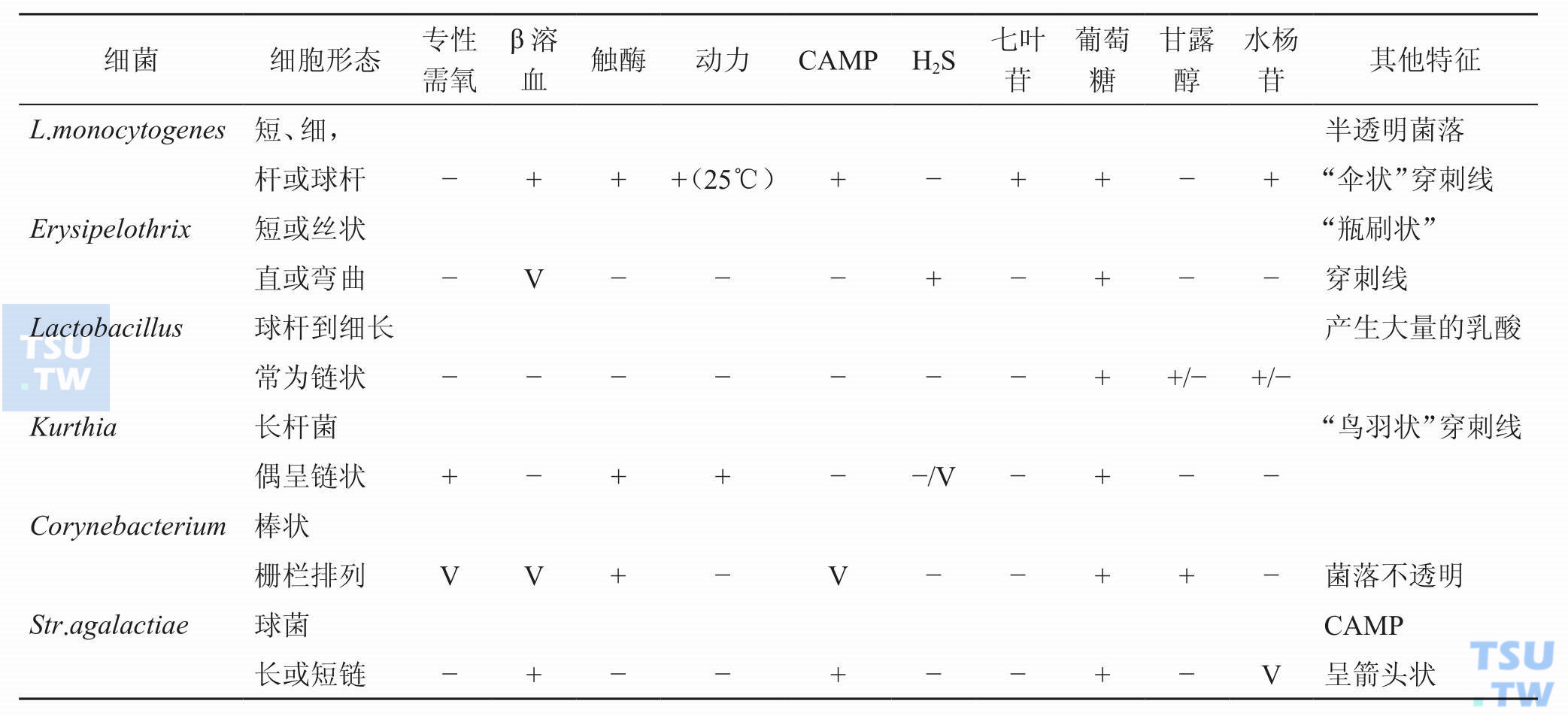 单核细胞增生李斯特菌属与其他相关菌属的鉴别