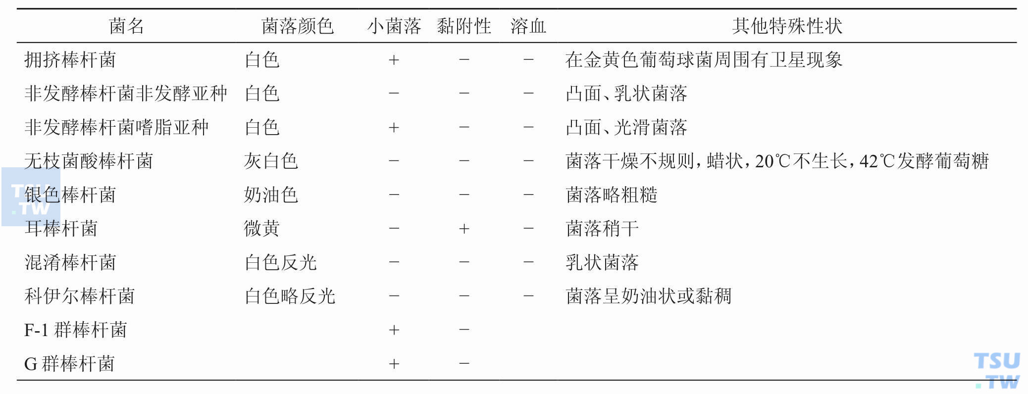 医学相关棒杆菌的基本形态特征