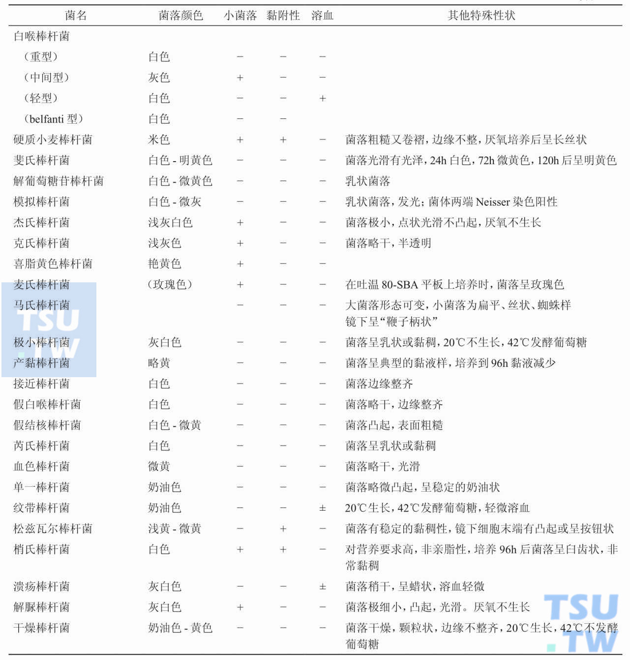 医学相关棒杆菌的基本形态特征；注：菌落特征是在SBA上经24小时或更长时间培养的结果。±：弱反应