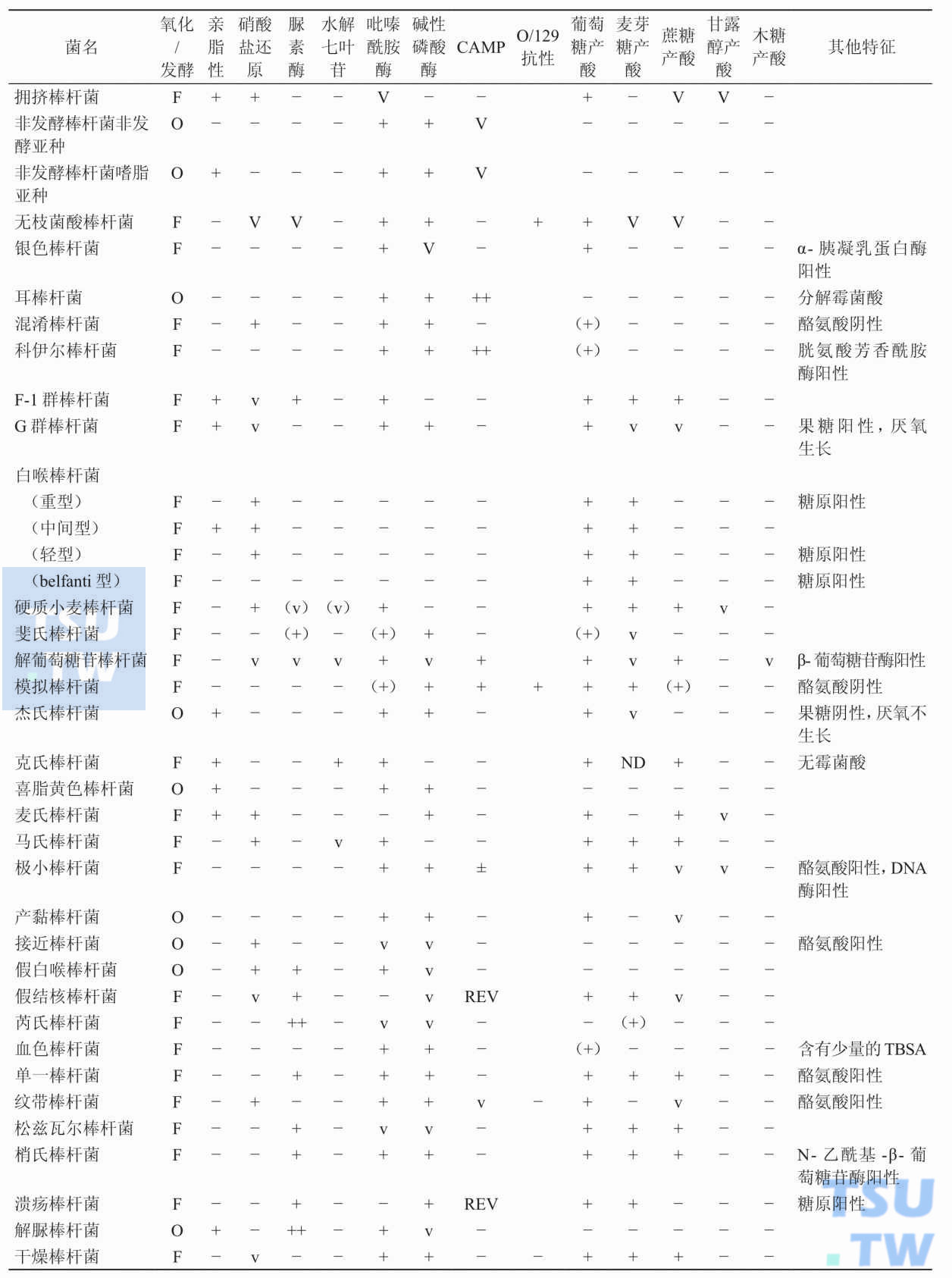 鉴定棒杆菌属细菌的主要生化依据有哪些？