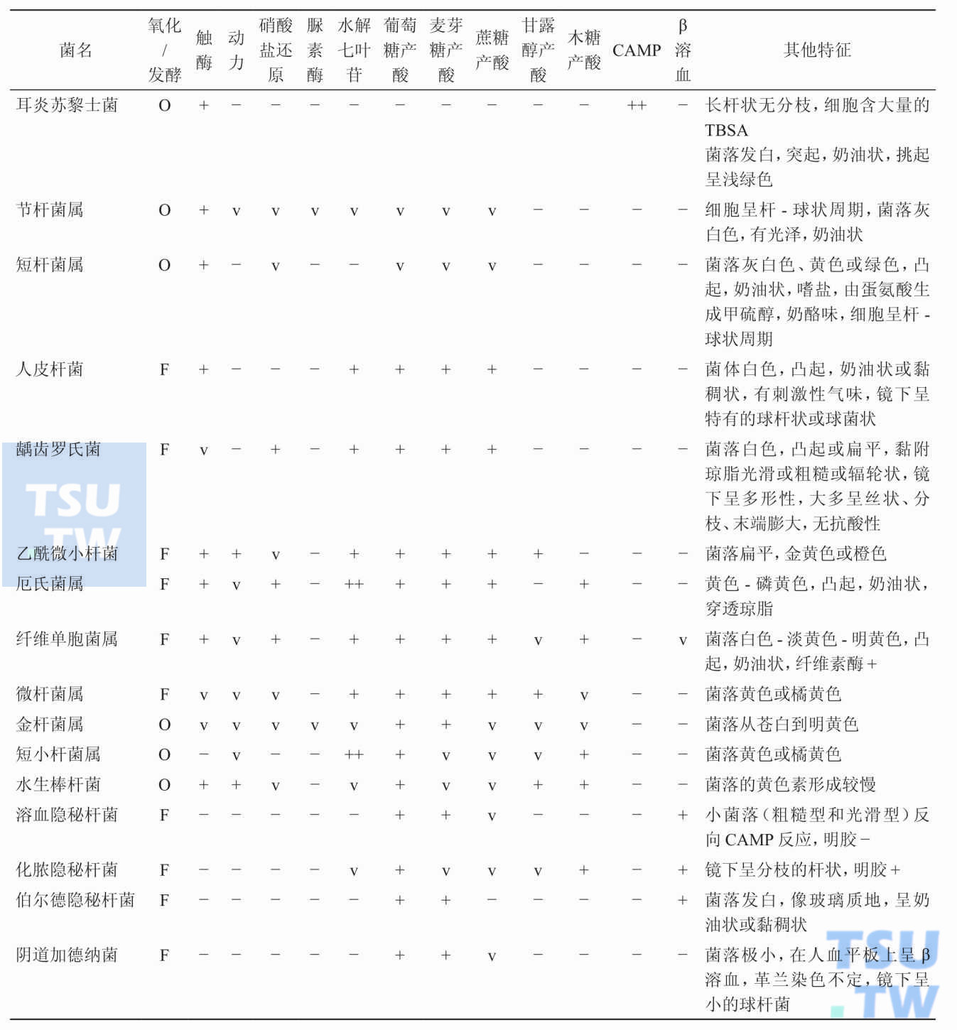 其他不规则革兰阳性需氧杆菌的主要鉴别特征有哪些？