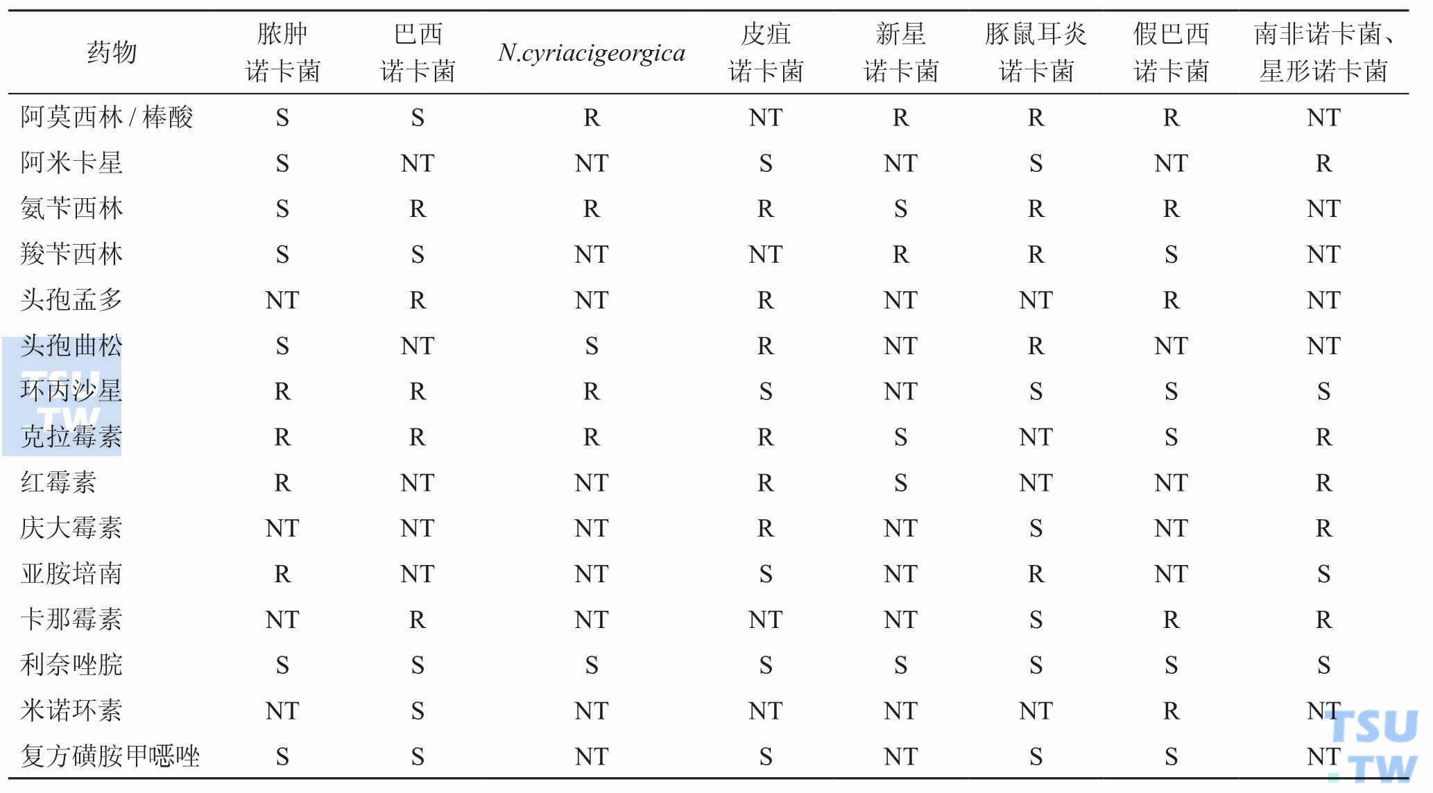 不同诺卡菌种的典型体外抗生素药敏谱特性；注：R，代表耐药；S，代表敏感，根据CLSI的MIC折点判断。NT，代表未测定