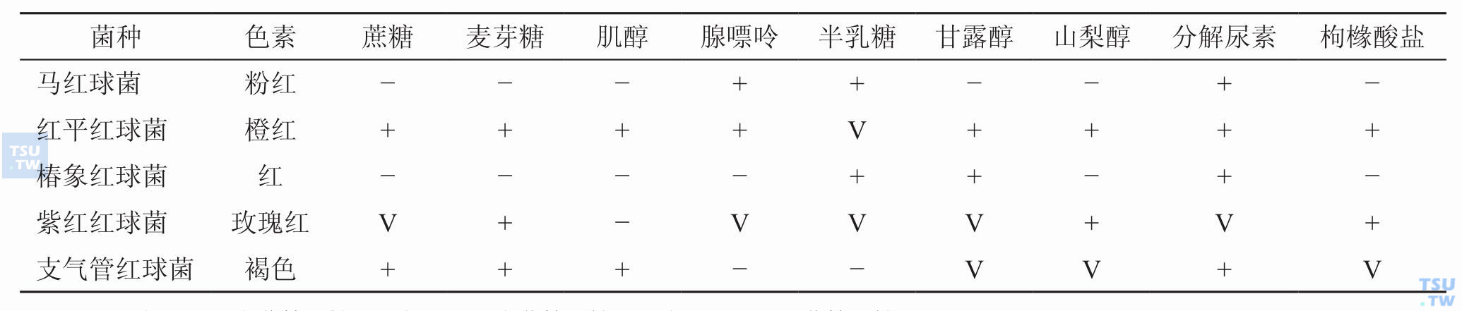 部分与医学相关的红球菌种间鉴别特征；注：+，为90%以上菌株阳性；−，为90%以上菌株阴性；V，为11%～89%菌株阳性