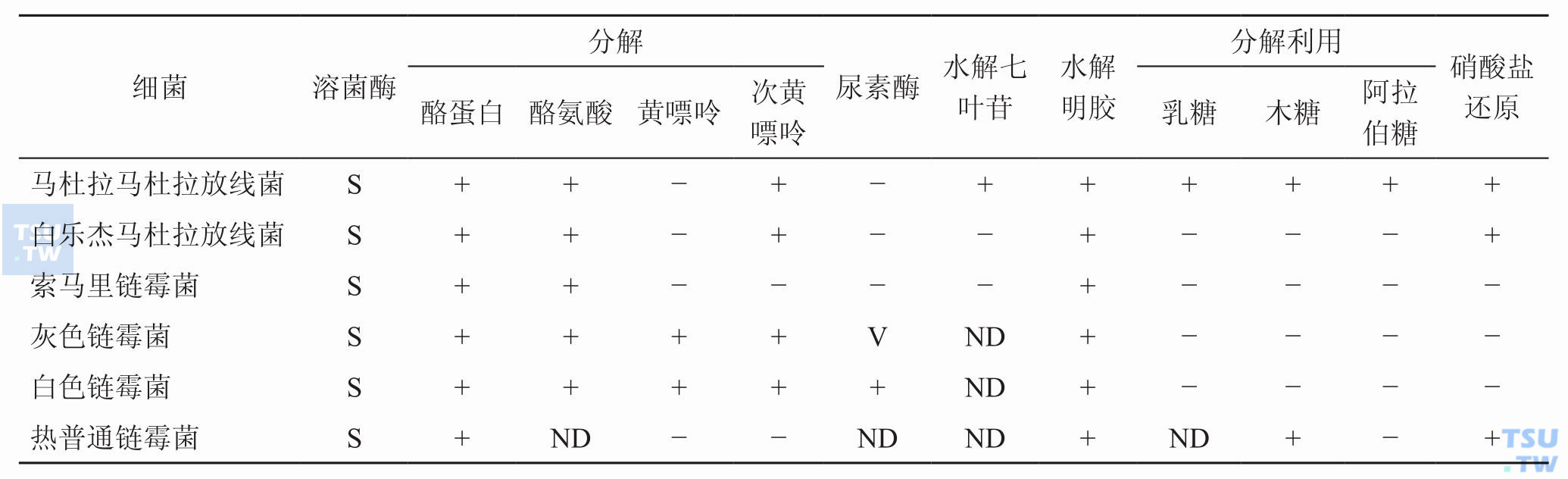 部分与医学相关的马杜拉放线菌和链霉菌的生化鉴别特征；注：+，90%以上菌株阳性；−，90%以上菌株阴性；V，11%～89%菌株阳性；R，耐药；S，敏感；ND，无资料