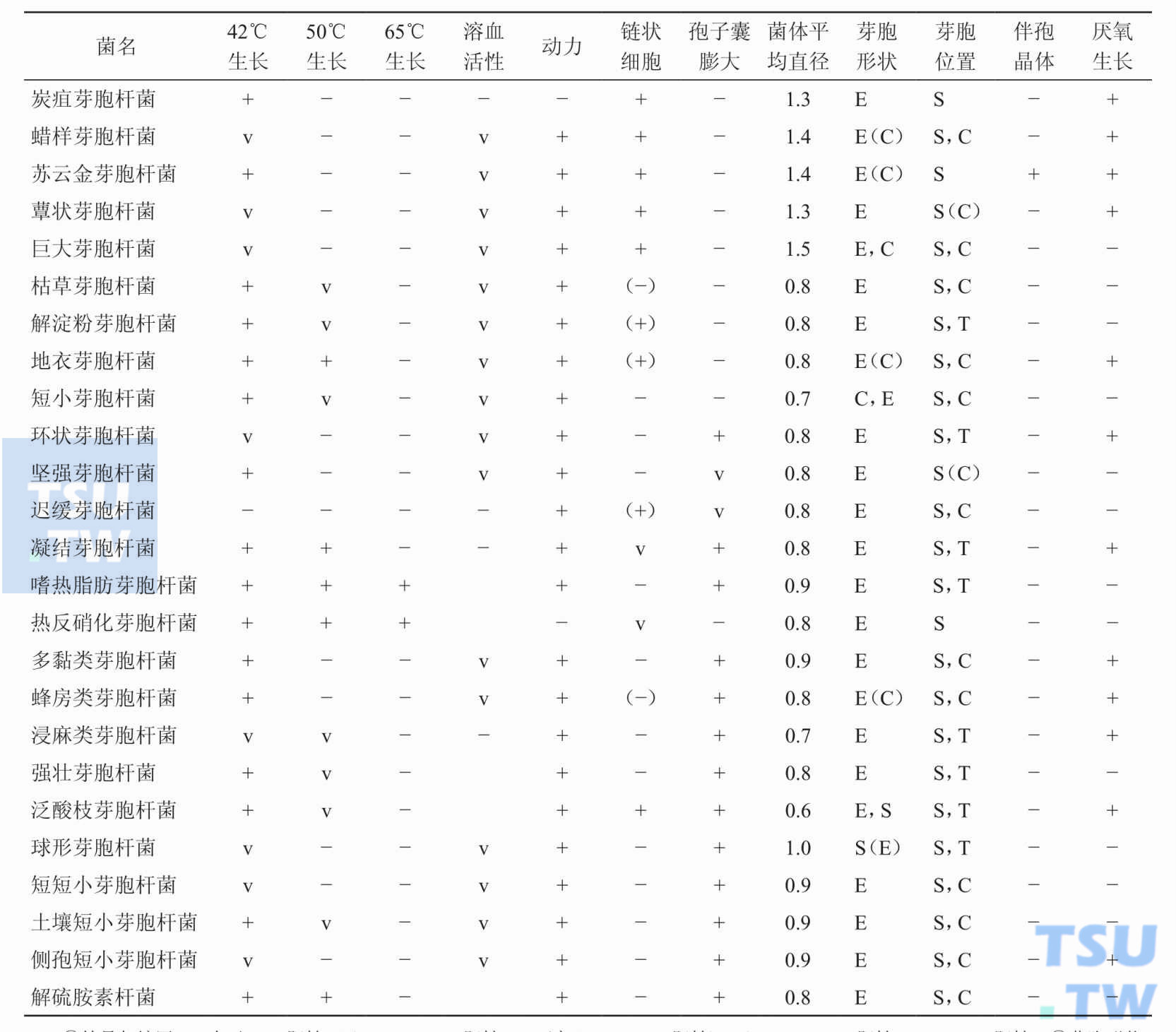 表1：临床实验室常见芽胞杆菌的基本特征