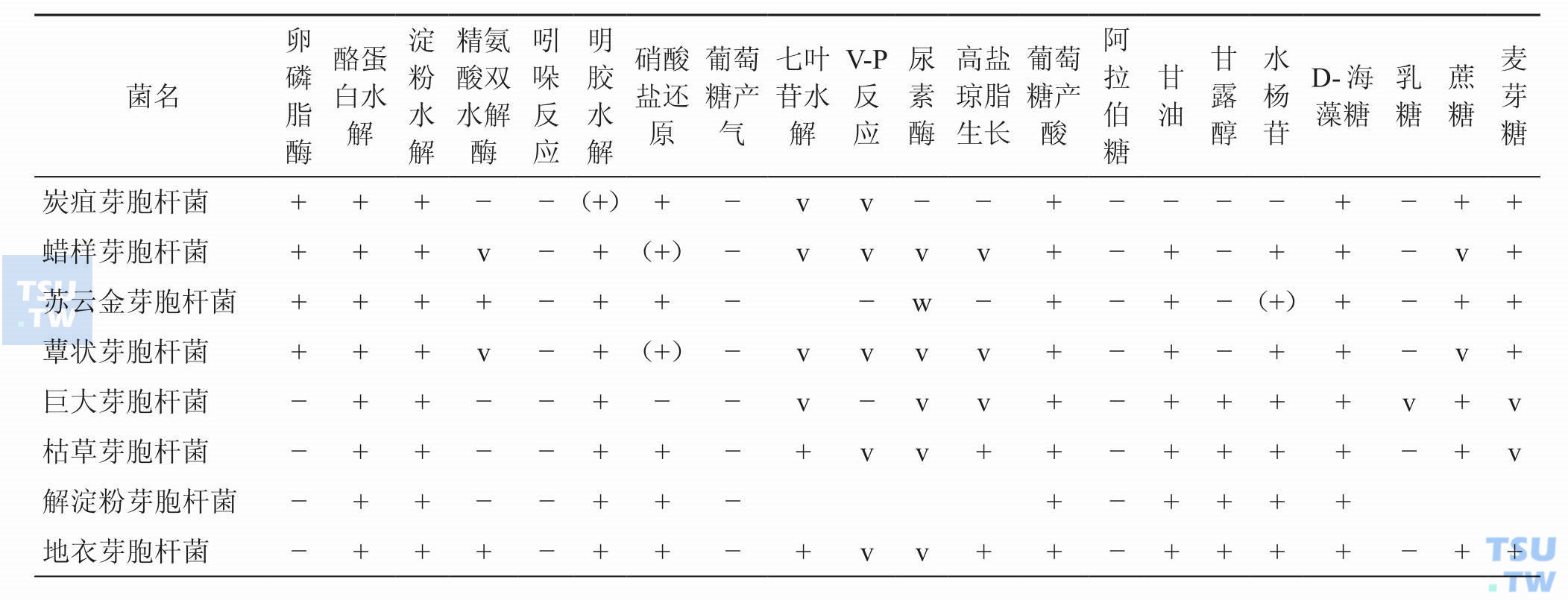 表2：临床实验室常见芽胞杆菌的生化特征