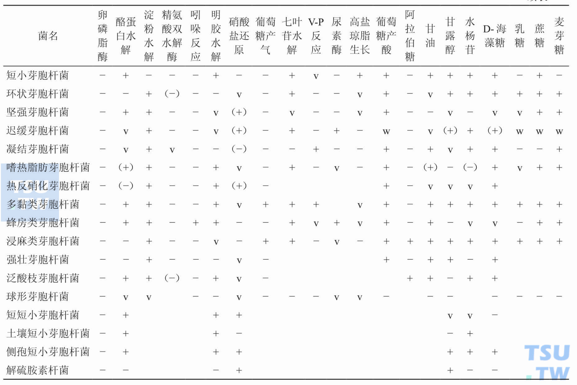 表2：临床实验室常见芽胞杆菌的生化特征； 注：+，大于85%阳性；（+），75%～84%阳性；v，可变（26%～84%阳性）；（−），16%～25%阳性；−，0～15%阳性；w，弱反应；空白，无资料