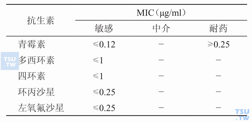 如何进行芽胞杆菌属的药敏试验？