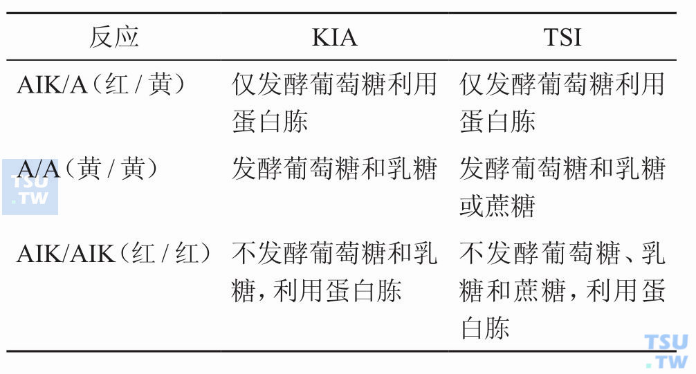 肠杆菌科细菌在KIA和TSI上的不同反应