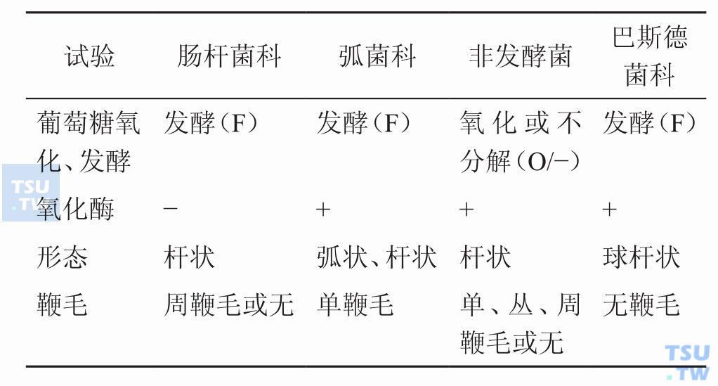 肠杆菌科与其他科革兰阴性杆菌区别