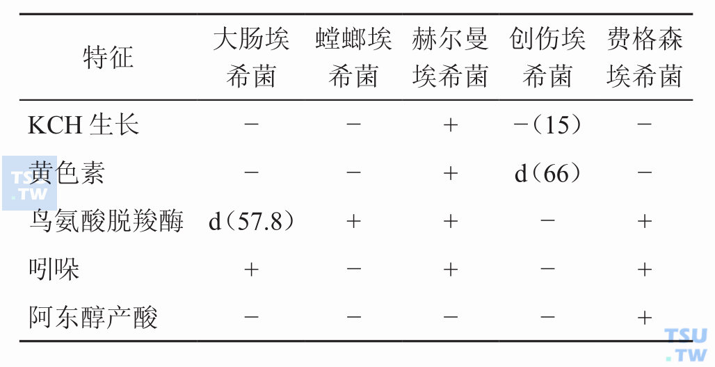 埃希菌属内各种鉴别特征