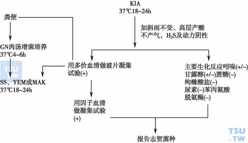  志贺菌属的检验程序