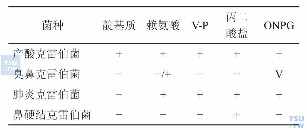 克雷伯菌属内种间怎样鉴别？