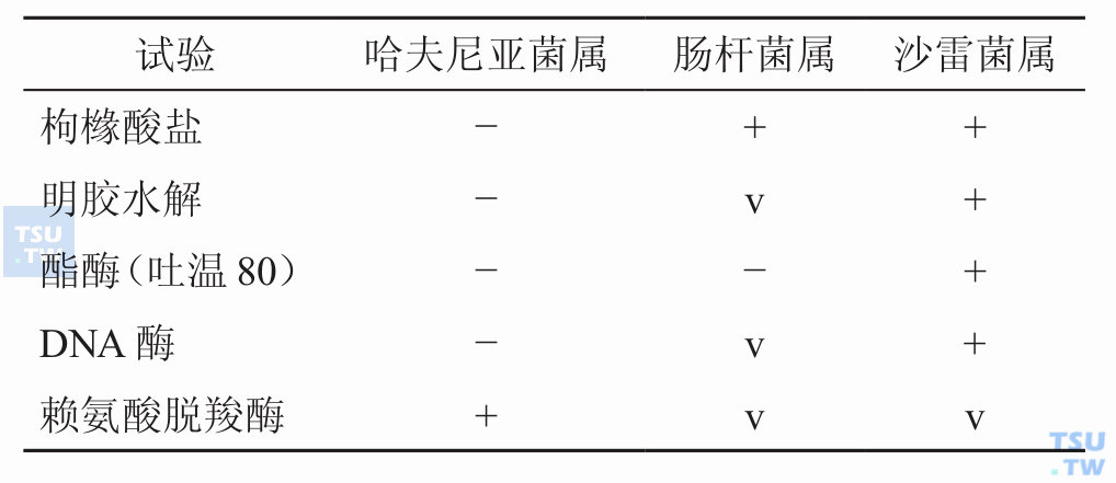 哈夫尼亚菌属如何与相似菌属鉴别？