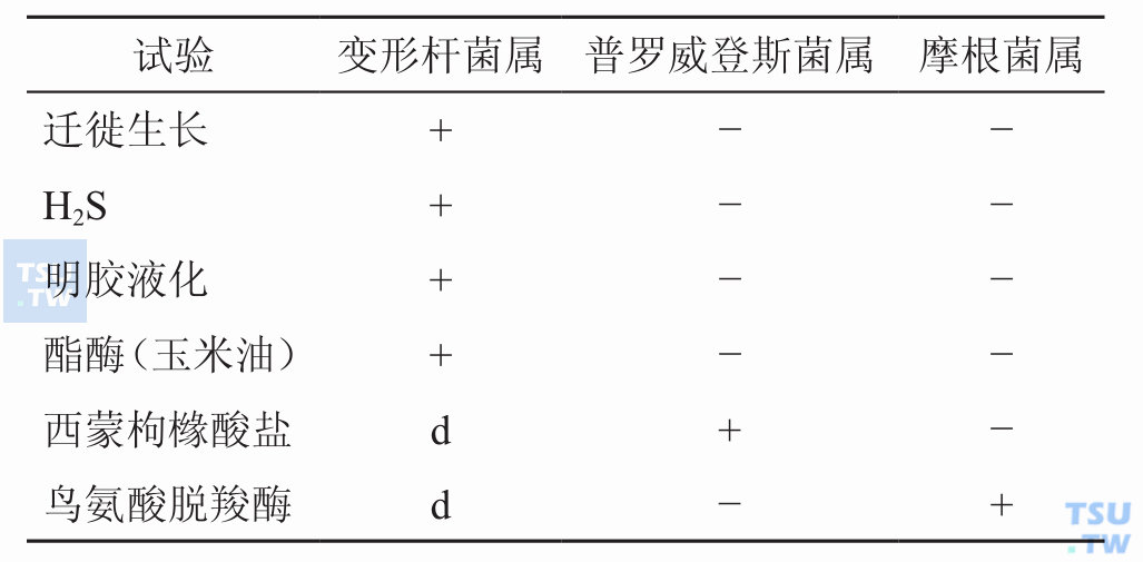 变形杆菌与类似菌属的鉴别；注：+：90%以上阳性；−：90%以上阳性；d：26%～75%阳性