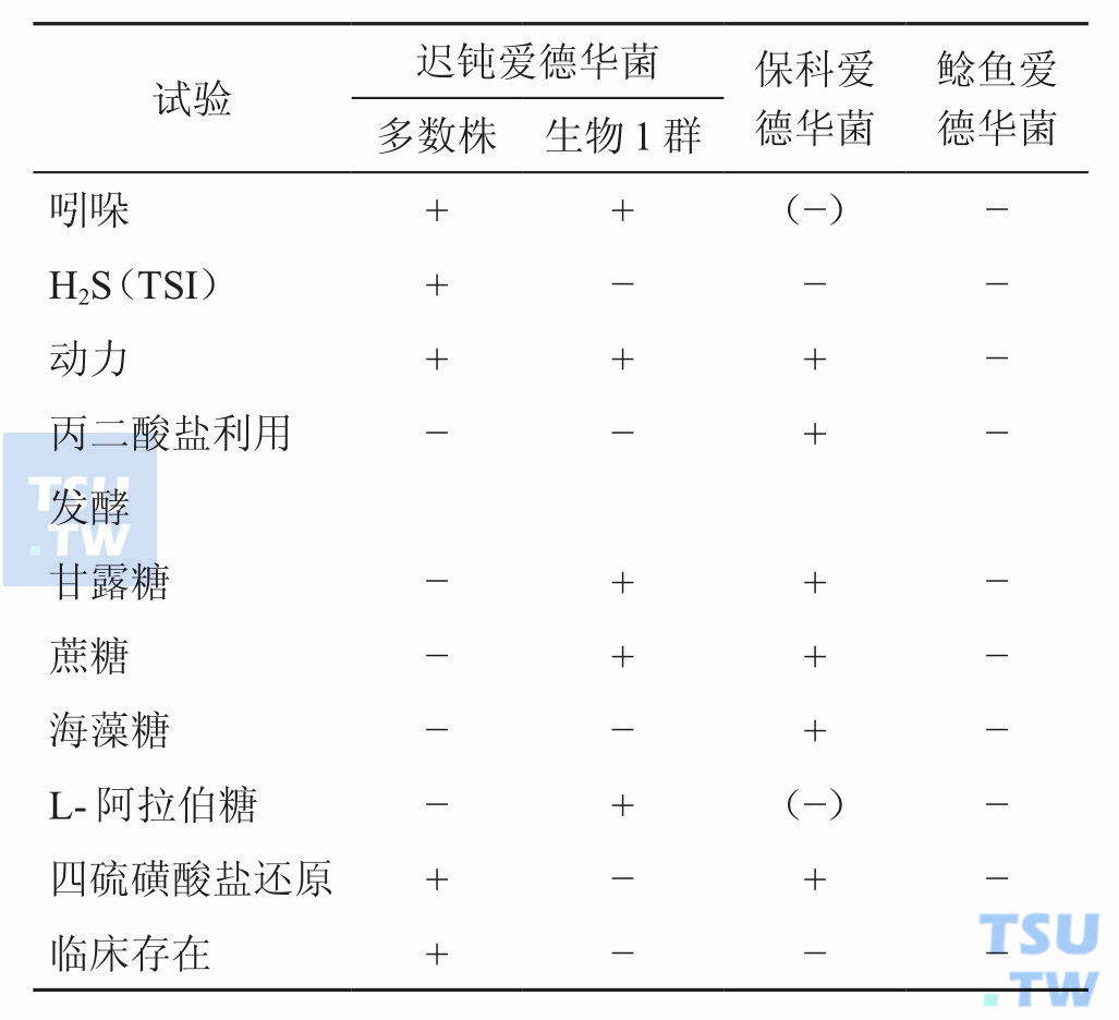 爱德华菌属内种间鉴别