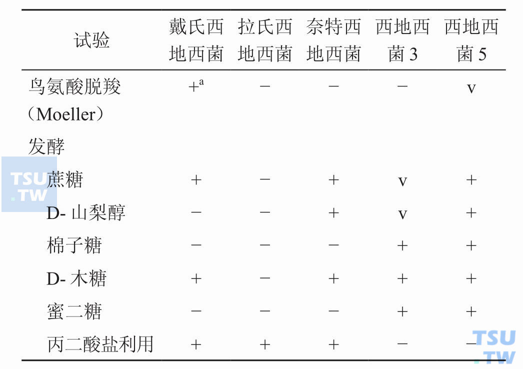 西地西菌属的种间鉴别