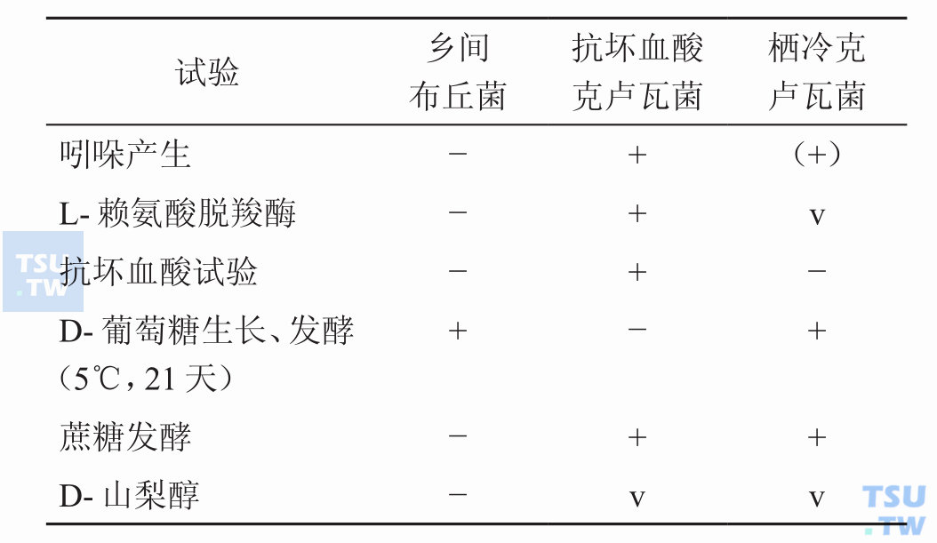 克卢瓦菌属内种间及与布丘菌属的鉴别；（+）：75%～89%阳性；+：90%～100%阳性；−：0～10%阳性；v：不定