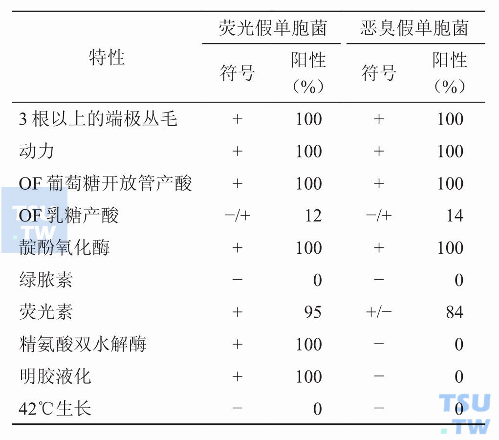 荧光假单胞菌和恶臭假单胞菌（荧光群）怎样鉴定？