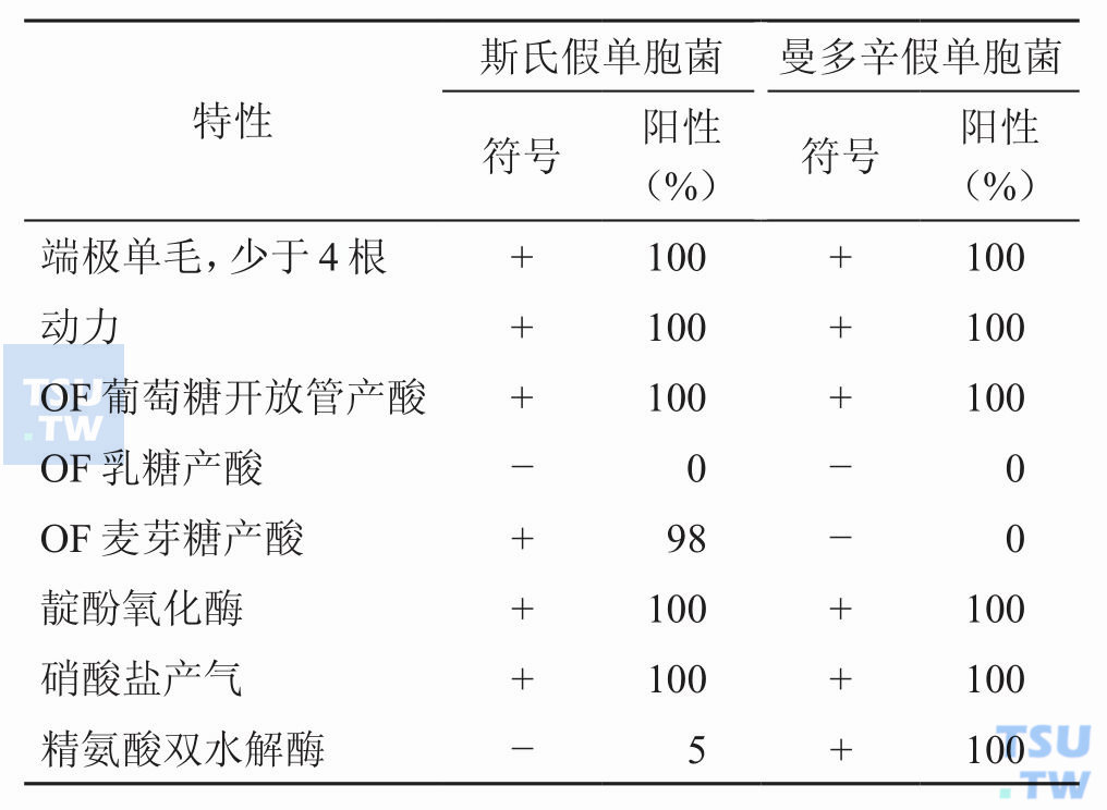 斯氏、曼多辛假单胞菌鉴别的最少特性