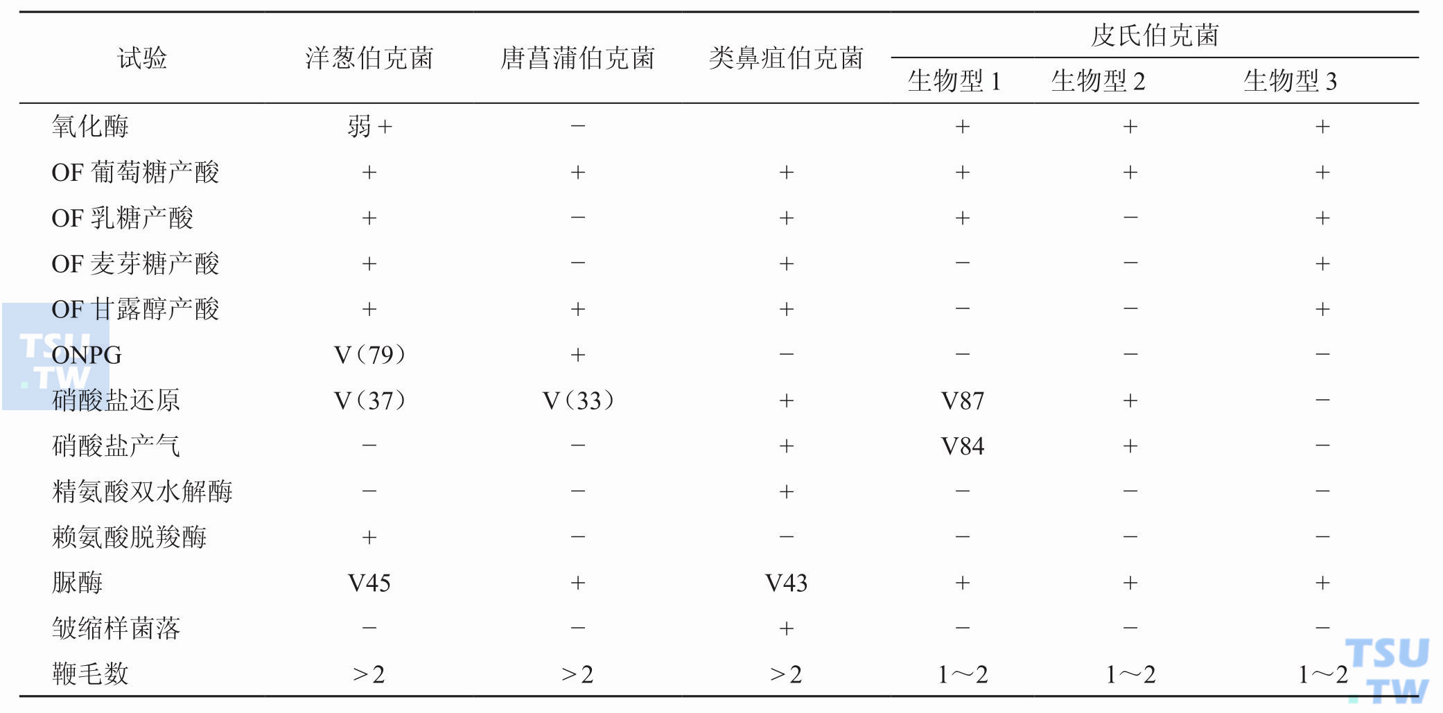 伯克菌属内种间鉴别