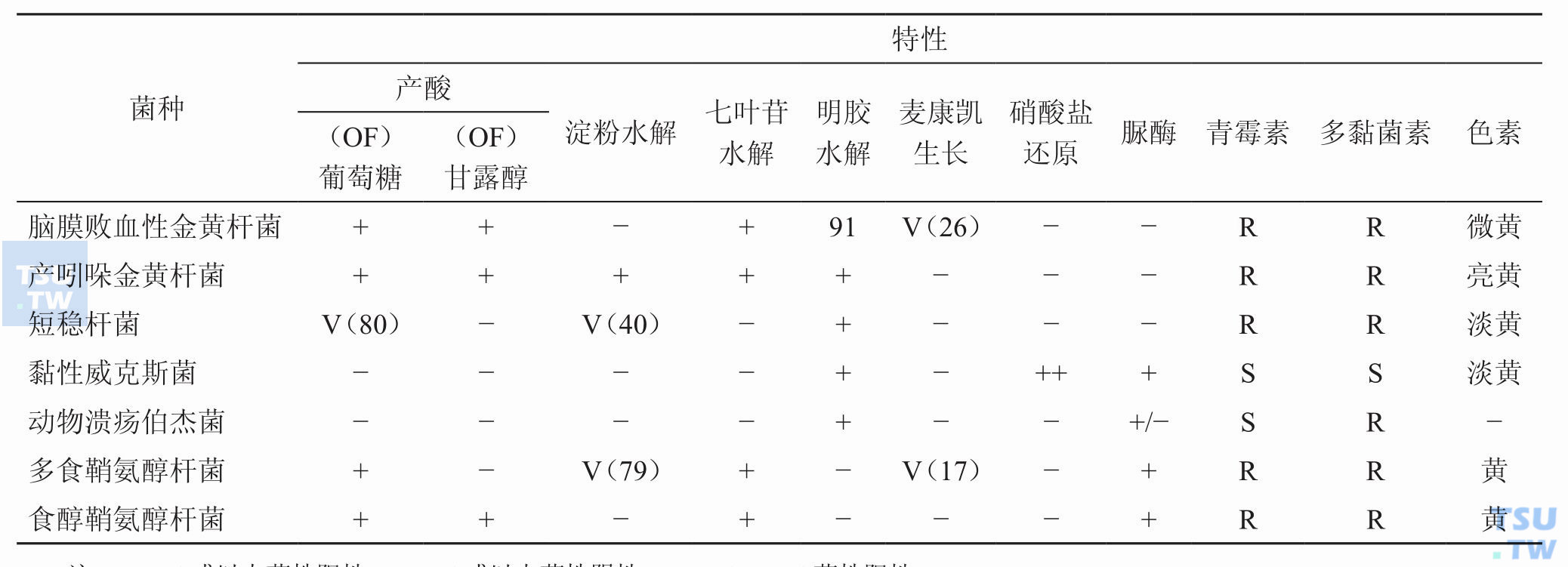 金黄杆菌属与相关菌种怎样鉴别？