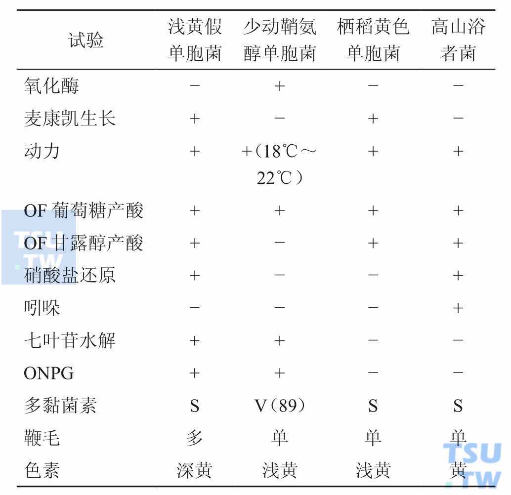 浅黄假单胞菌与其他产黄色色素单胞菌的鉴别；注：+：90%或以上的菌株阳性；−，90%或以上的菌株阴性；V，11%～89%的菌株阳性